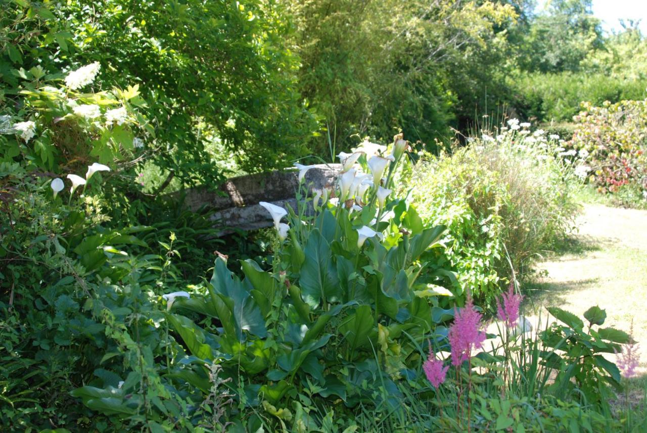 Chitenay La Petite Marguerite B&B 외부 사진