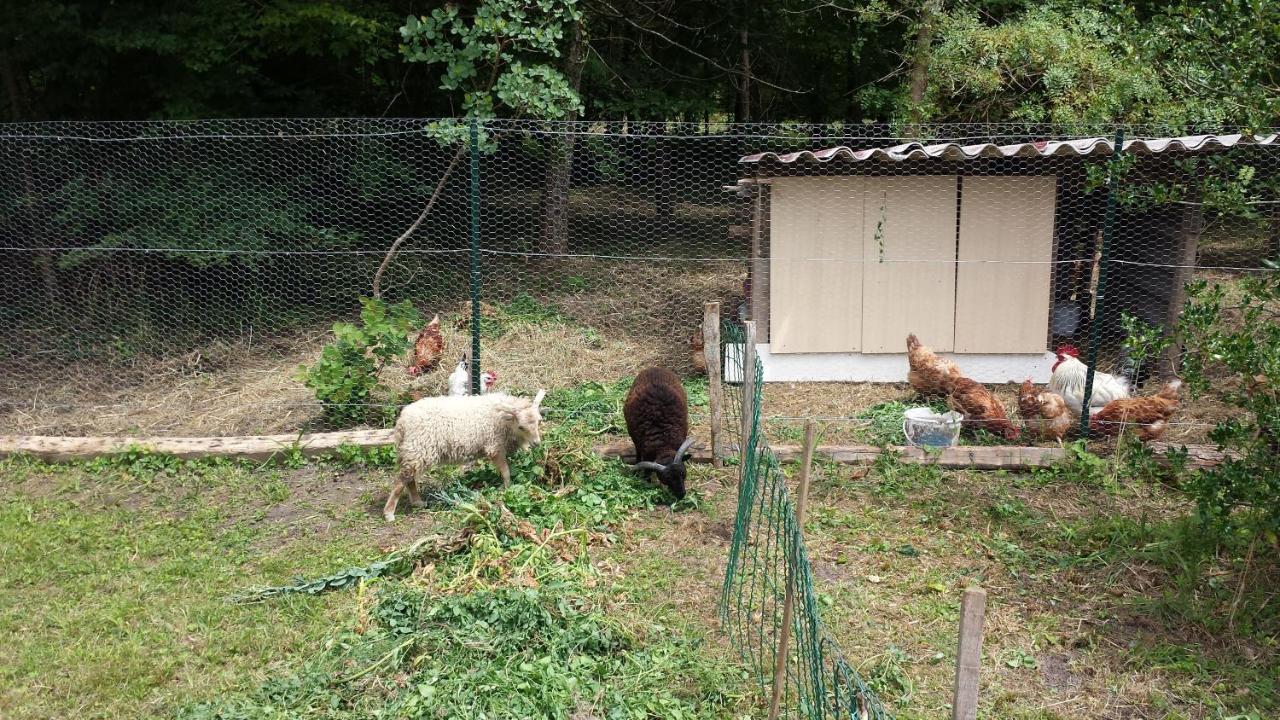 Chitenay La Petite Marguerite B&B 외부 사진